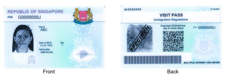 LONG TERM VISIT PASS